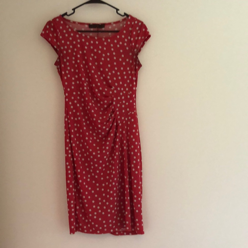 The Limited Red Polka Dot Dress
